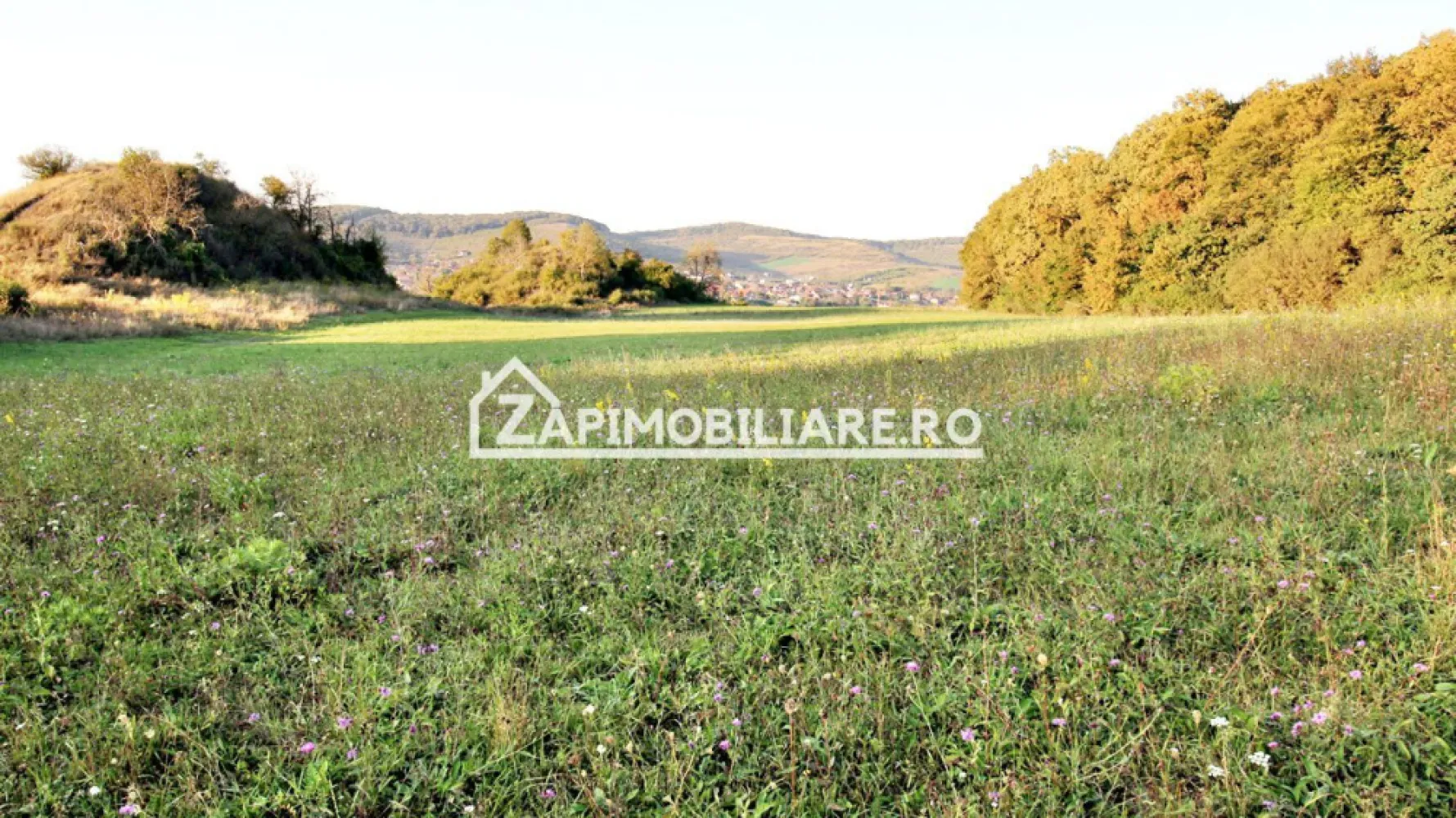 De vanzare 2 terenuri de 29.500 mp si 1.400 mp.29 euro mp - Vă oferim spre vânzare 2 parcele de teren in Livezeni cu suprafața de 29.500 si 1.400 mp. situat în Livezeni 
Contact 0774048706 Bogdan

Cei interesați pot achiziționa terenul de 29.500 mp la prețul de 863.000 EURO 29 euro mp negociabil comision ZERO.
Terenul de 1.450 mp. este situat in Ivănesti si se vinde la pretul de 50.500 euro 35.euro mp.negociabil comision zero
Dacă vă place această ofertă - sau pentru alte informații sunați la numărul de contact din anunț! 0774048706 Bogdan
Compania Zap Imobiliare vă pune la dispoziție toate informațiile, actele și documentele necesare alături de asistență și consiliere permanentă până la finalizarea achiziției imobiliare. Ne dorim să îți oferim cea mai plăcută experiență.