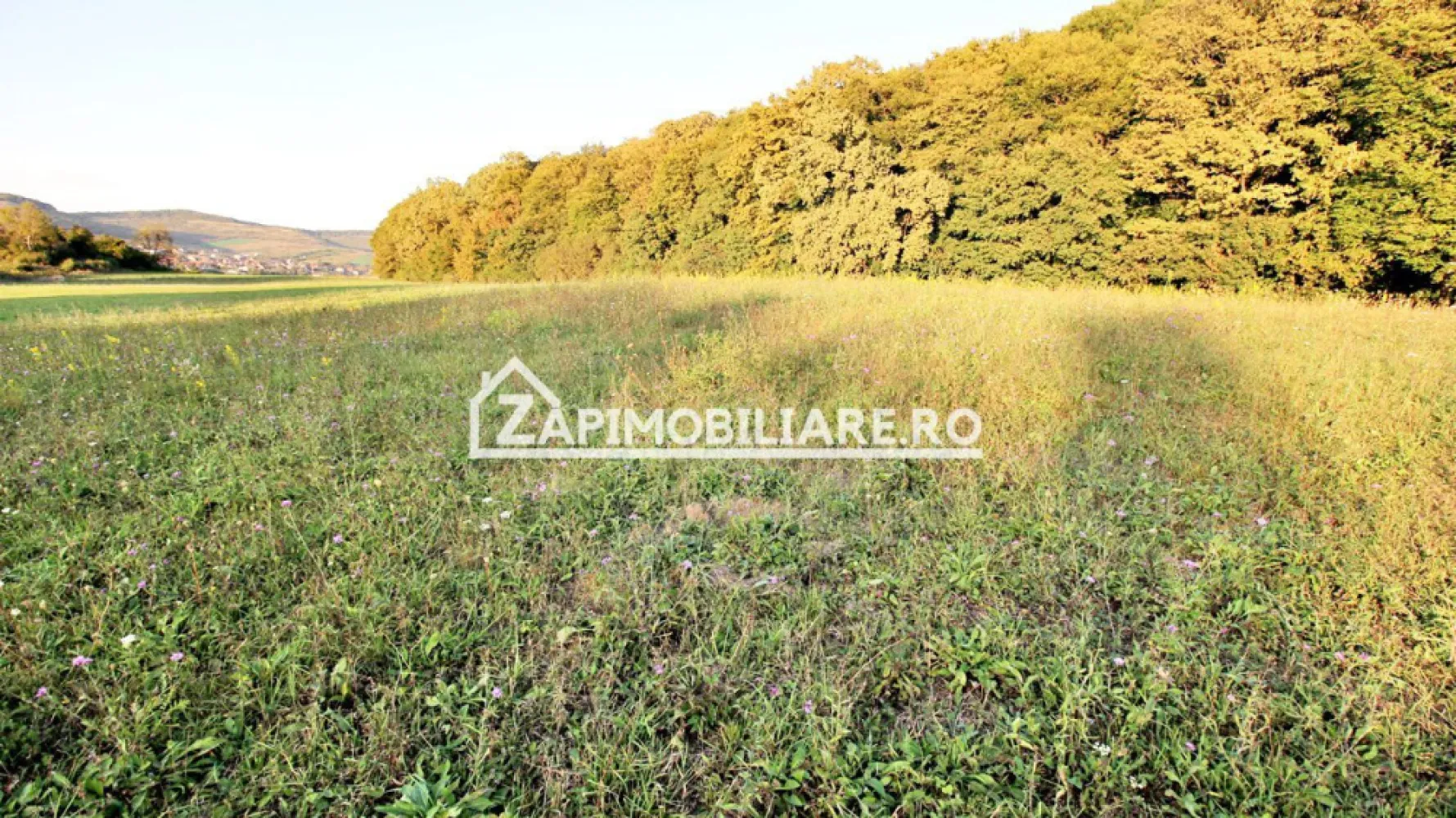 De vanzare 2 terenuri de 29.500 mp si 1.400 mp.29 euro mp - Vă oferim spre vânzare 2 parcele de teren in Livezeni cu suprafața de 29.500 si 1.400 mp. situat în Livezeni 
Contact 0774048706 Bogdan

Cei interesați pot achiziționa terenul de 29.500 mp la prețul de 863.000 EURO 29 euro mp negociabil comision ZERO.
Terenul de 1.450 mp. este situat in Ivănesti si se vinde la pretul de 50.500 euro 35.euro mp.negociabil comision zero
Dacă vă place această ofertă - sau pentru alte informații sunați la numărul de contact din anunț! 0774048706 Bogdan
Compania Zap Imobiliare vă pune la dispoziție toate informațiile, actele și documentele necesare alături de asistență și consiliere permanentă până la finalizarea achiziției imobiliare. Ne dorim să îți oferim cea mai plăcută experiență.