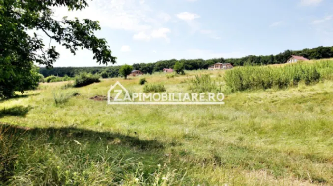 Teren 9.600 mp.17 euro mp deschidere la drum 200 m.