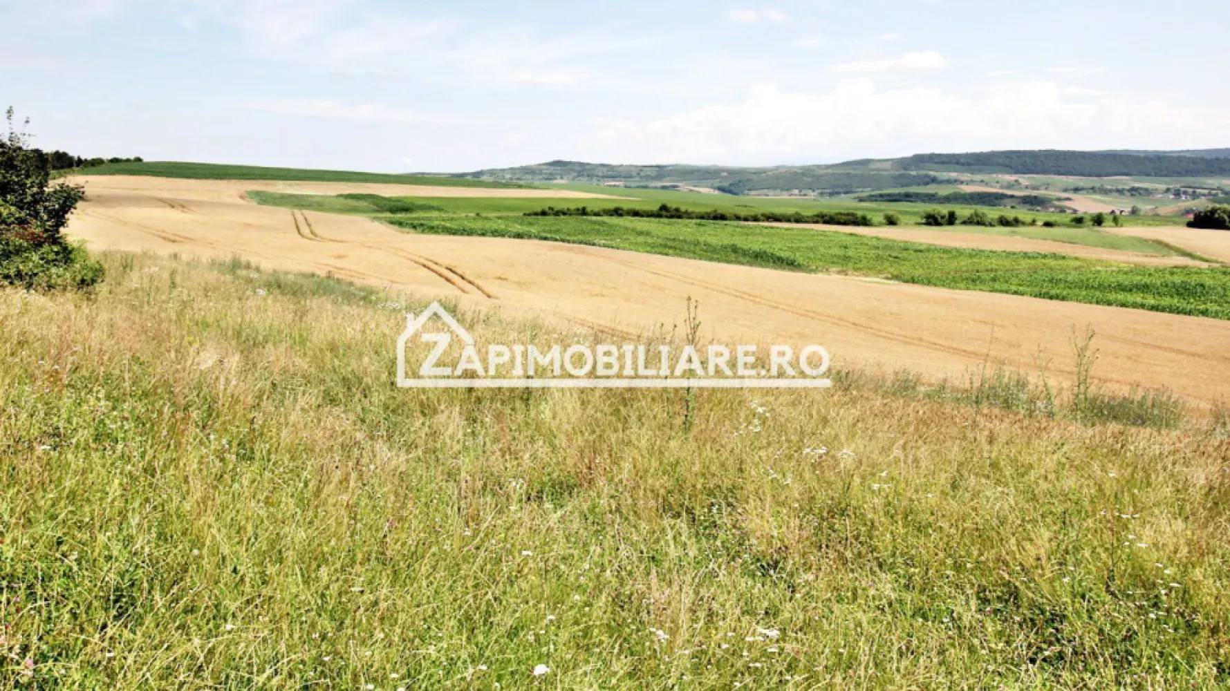 Teren 9.600 mp.17 euro mp deschidere la drum 200 m. - De vănzare 9.600 mp.teren in Herghelia cu deschidere la drum de 200 m 
- apa si curentul langa teren
Contact 0774048706 Bogdan
Terenul.se vinde la prețul de 17 euro mp negociabil Comisionul este ZERO!
Contact 0774048706 Bogdan
Dacă vă place această ofertă - sau pentru alte informații sunați la numărul de contact din anunț! 0774048706 Bogdan
Compania Zap Imobiliare vă pune la dispoziție toate informațiile, actele și documentele necesare alături de asistență și consiliere permanentă până la finalizarea achiziției imobiliare