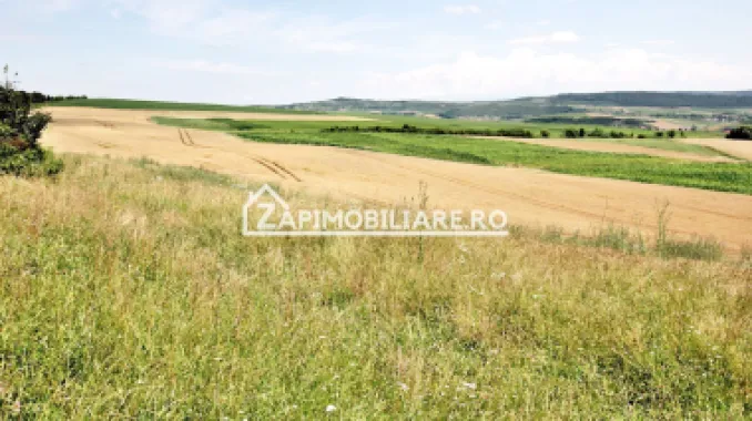 Teren 9.600 mp.17 euro mp deschidere la drum 200 m.