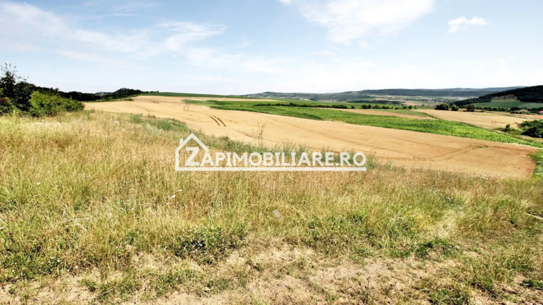 Teren 9.600 mp.17 euro mp deschidere la drum 200 m.