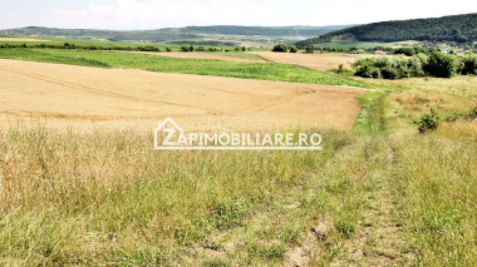 Teren 9.600 mp.17 euro mp deschidere la drum 200 m.