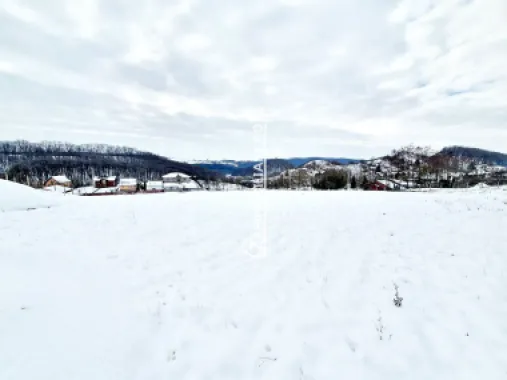 Teren intravilan 1.500 mp. Corunca Valea Iubirii 65 euro mp