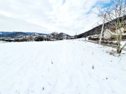 Teren intravilan 1.500 mp. Corunca Valea Iubirii 65 euro mp