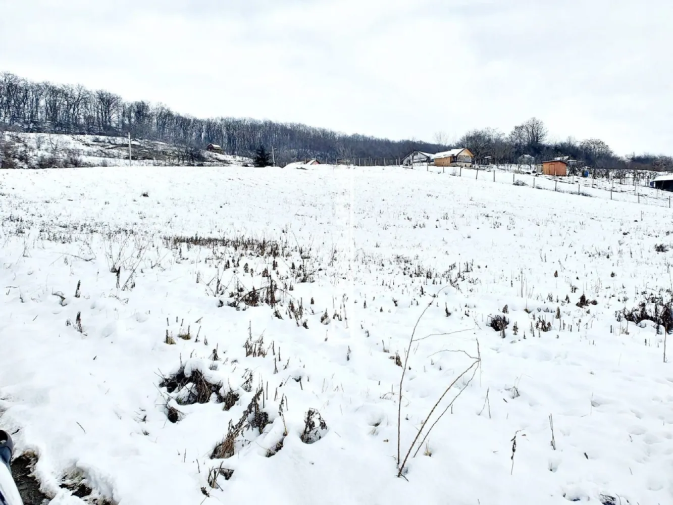 Teren intravilan 1.500 mp. Corunca Valea Iubirii 65 euro mp