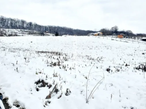 Teren intravilan 1.500 mp. Corunca Valea Iubirii 65 euro mp