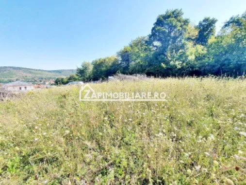 Teren intravilan 702 mp. Corunca
