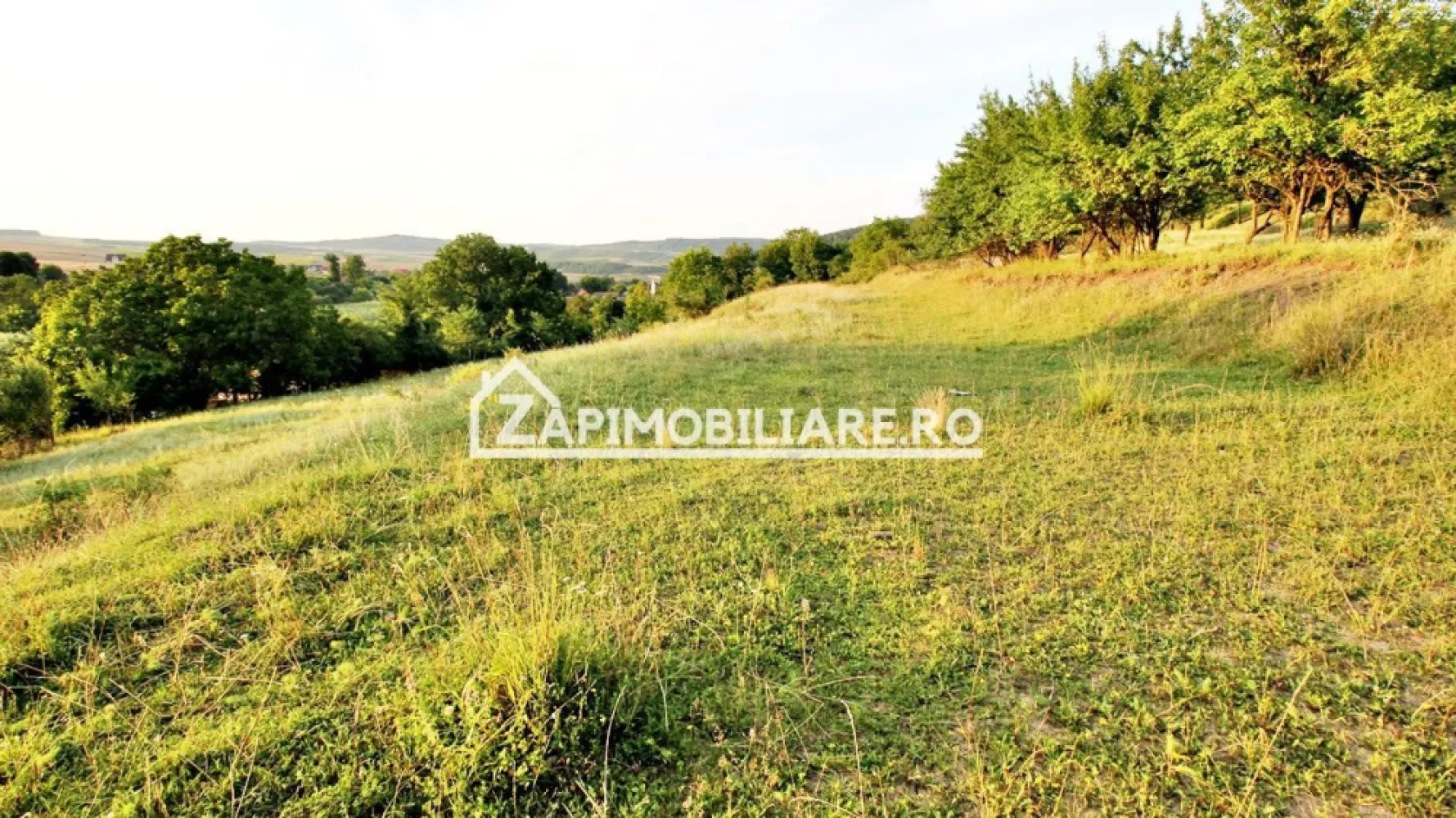 Teren Intravilan,5.000mp cu utilităti si proiect casă 12e mp - De vănzare 5.000 mp.teren cu proiect casă in Herghelia cu deschidere la drum asfaltat
- toate utilitătile langă teren
Contact 0774048706 Bogdan
Terenul.se vinde la prețul de 12 euro mp negociabil Comisionul este ZERO!
Contact 0774048706 Bogdan
Dacă vă place această ofertă - sau pentru alte informații sunați la numărul de contact din anunț! 0774048706 Bogdan
Compania Zap Imobiliare vă pune la dispoziție toate informațiile, actele și documentele necesare alături de asistență și consiliere permanentă până la finalizarea achiziției imobiliare