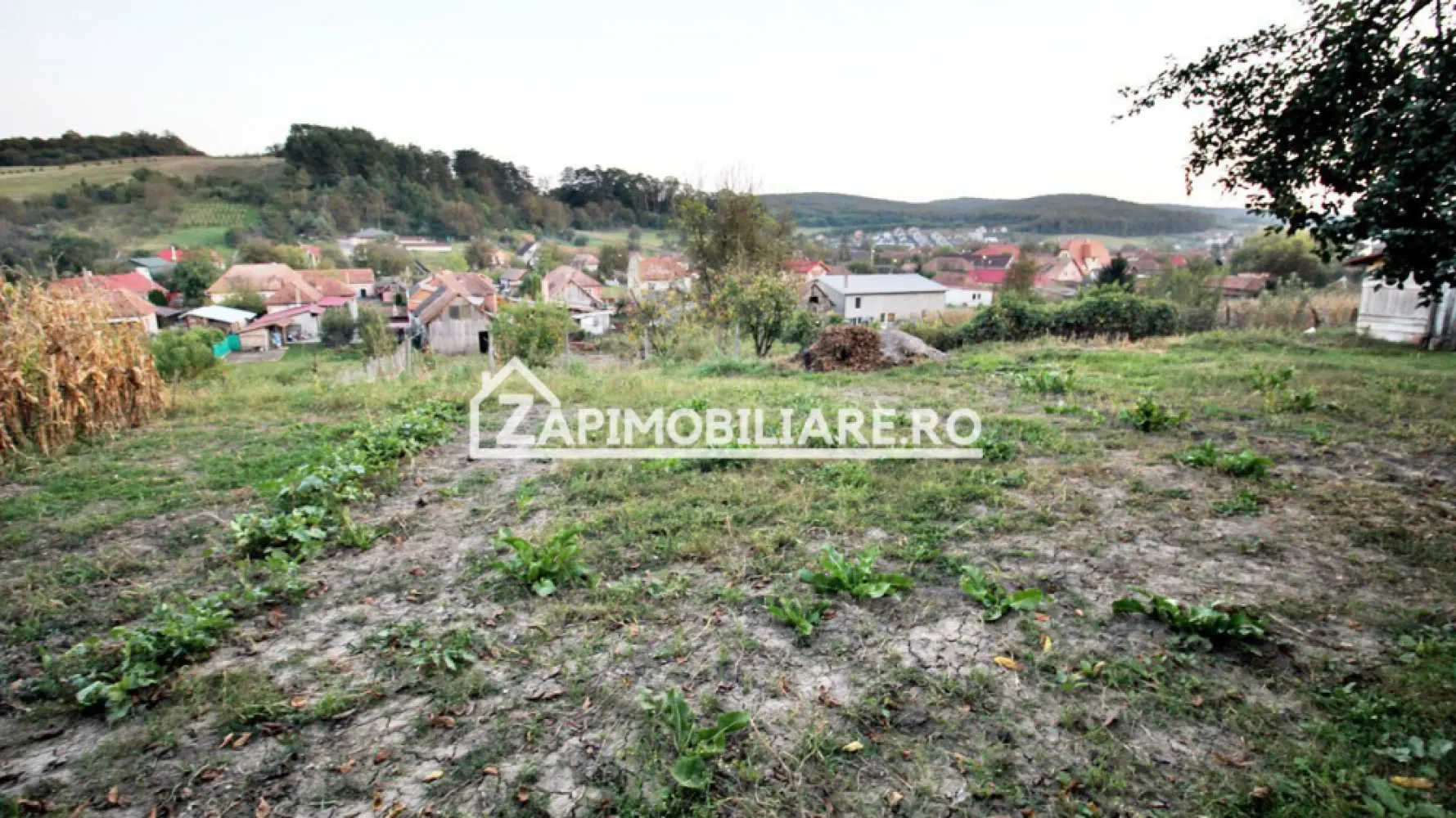 De vanzare 2 case cu 4.900 mp teren, Livezeni 0% comision - Contact 0774048706 Bogdan
De vânzare 2 case singur în curte, 4 camere situată în Livezeni amplasată pe un teren cu suprafața de 4.900 mp,
Compartimentare:

Utilitați:
- curent, apă, gaz, canalizare

Casa si terenul de 4.900 mp se vinde la prețul de 245.000 Euro negociabil. Comision ZERO!
Contact 0774048706 Bogdan
Daca vă place această ofertă sau pentru alte informații sunați la numărul de contact din anunț! 
Compania Zap Imobiliare vă pune la dispoziție toate actele și documentele necesare alături de asistență și consiliere permanentă până la finalizarea achiziției imobiliare. 
Ne dorim să îți oferim cea mai plăcută experiență, îndeplinim vise cu pereți!
