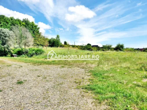 Teren intravilan 3.000 mp.cu deschidere de 40 m la E60