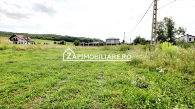 Teren 6.800mp teren cu deschidere de 100 m la drum asfaltat