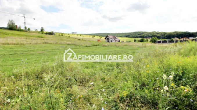 Teren 6.800mp teren cu deschidere de 100 m la drum asfaltat