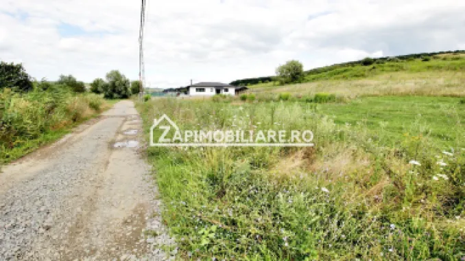 Teren 6.800mp teren cu deschidere de 100 m la drum asfaltat