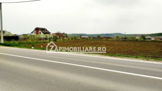 Logo ZAP IMOBILIARE logo