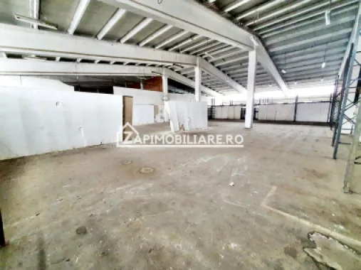 Hale cu suprafatade 220 mp si 440 mp zona Ambient
