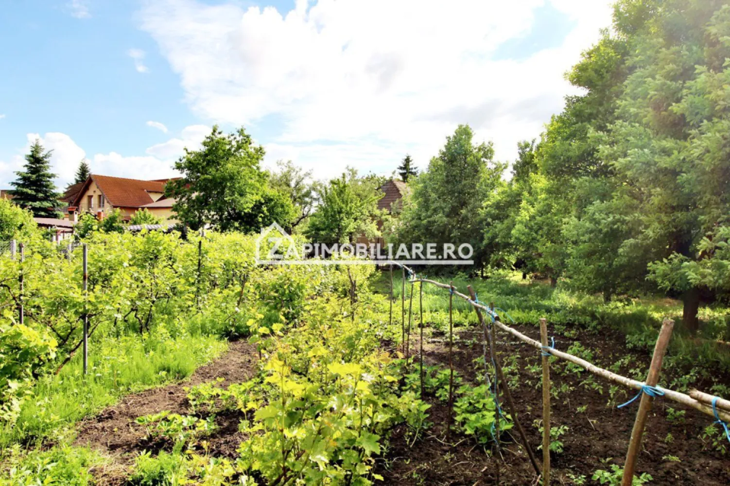 Unirii - Teren intravilan 4800 mp - la sosea - ID proprietate: CP1215075
Contact ⓪⑦②⑥ ②②③ ⑧⑧⑥ Sebastian
De vanzare teren intravilan 4800 mp, situat la sosea pe Calea Voinicenilor, la 200m de Penny cu o latime maxima de 34m ( vezi poze pentru mai multe detalii )
- Drum asfaltat
- Curent, apa, gaz, canalizare
- pe teren se afla si o casa din anii 1970 din caramida cu 3 dormitoare 1 bucatarie si o baie.

Pret 420.000 Euro negociabil

Dacă vă place această ofertă - sau pentru alte informații sunați la numărul de contact din anunț!
Compania Zap Imobiliare vă pune la dispoziție toate informațiile, actele și documentele necesare alături de asistență și consiliere permanentă până la finalizarea achiziției imobiliare. Ne dorim să îți oferim cea mai plăcută experiență.