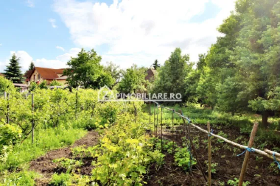 Unirii - Teren intravilan 4800 mp - la sosea