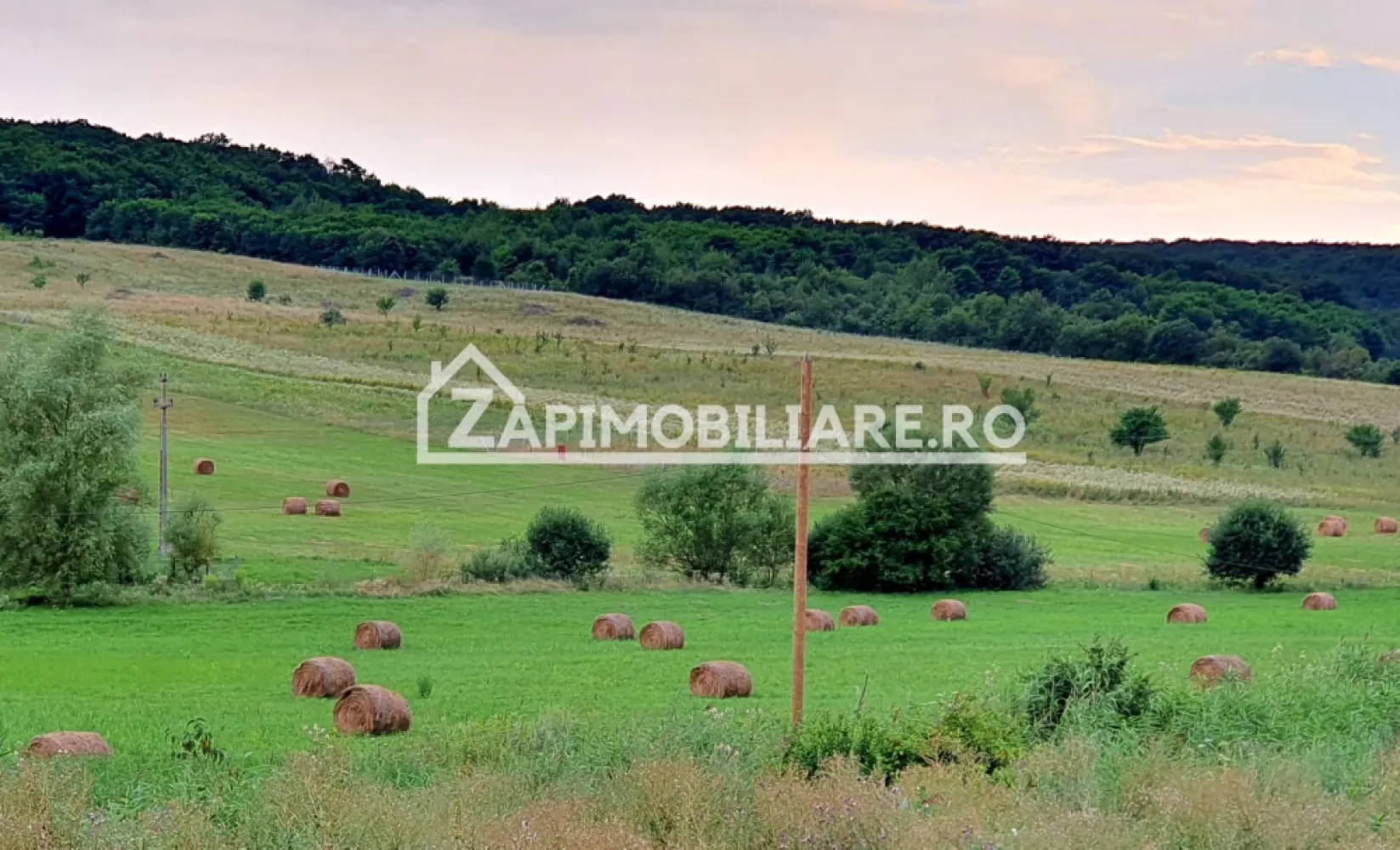 Teren intravilan 50 ari,Livezeni,iesire catre Ivanesti,28 eu/mp - De vânzare 50 ari teren intravilan în Livezeni,pe partea dreapta la iesire catre Ivanesti.. Preț. 30 euro /mp,usor negociabil.Utilitati in apropiere.
Contact 077 4048706 Bogdan 
Dacă vă place această ofertă - sau pentru alte informații sunați la numărul de contact din anunț! 
Compania Zap Imobiliare vă pune la dispoziție toate informațiile, actele și documentele necesare alături de asistență și consiliere permanentă până la finalizarea achiziției imobiliare. Ne dorim să îți oferim cea mai pl ăcută experiență.