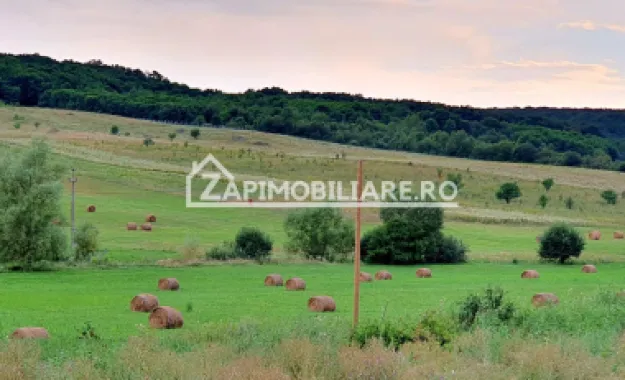 Logo ZAP IMOBILIARE logo