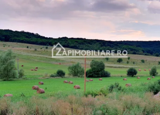 Teren intravilan 50 ari,Livezeni,iesire catre Ivanesti,28 eu/mp