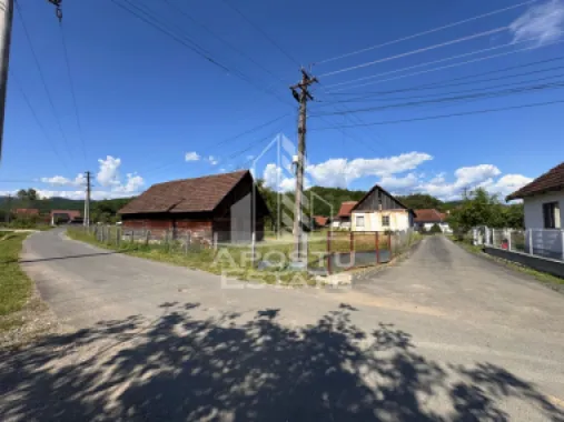 Casa batraneasca cu teren de 3.334mp, in Baia de Cris, Hunedoara