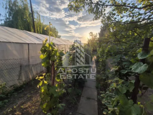 AP. 94MP 4CAM PARTER+GRADINĂ150MP GIARMATA-Timișoara