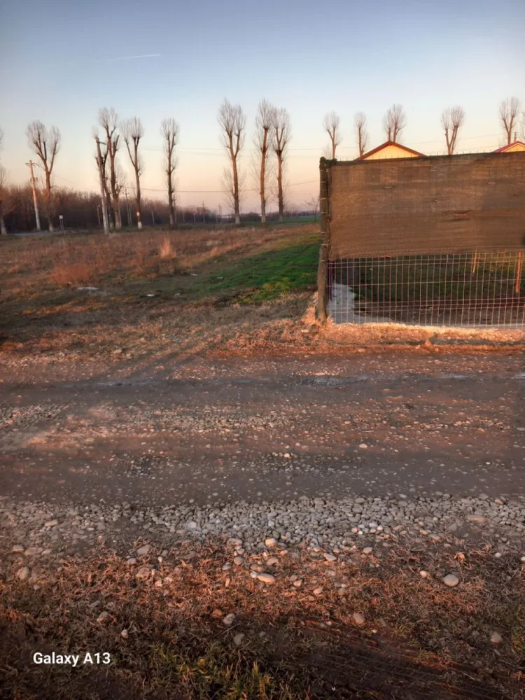 Ag BRASADAS vinde 500mp teren intravilan la SOSEA in Ganeasa - Agenția BRASADAS vinde teren INTRAVILAN doua PARCELE la SOSEA de 500mp în Moara Domneasca Comuna GANEASA cu TOATE UTILITATILE fără canalizare.