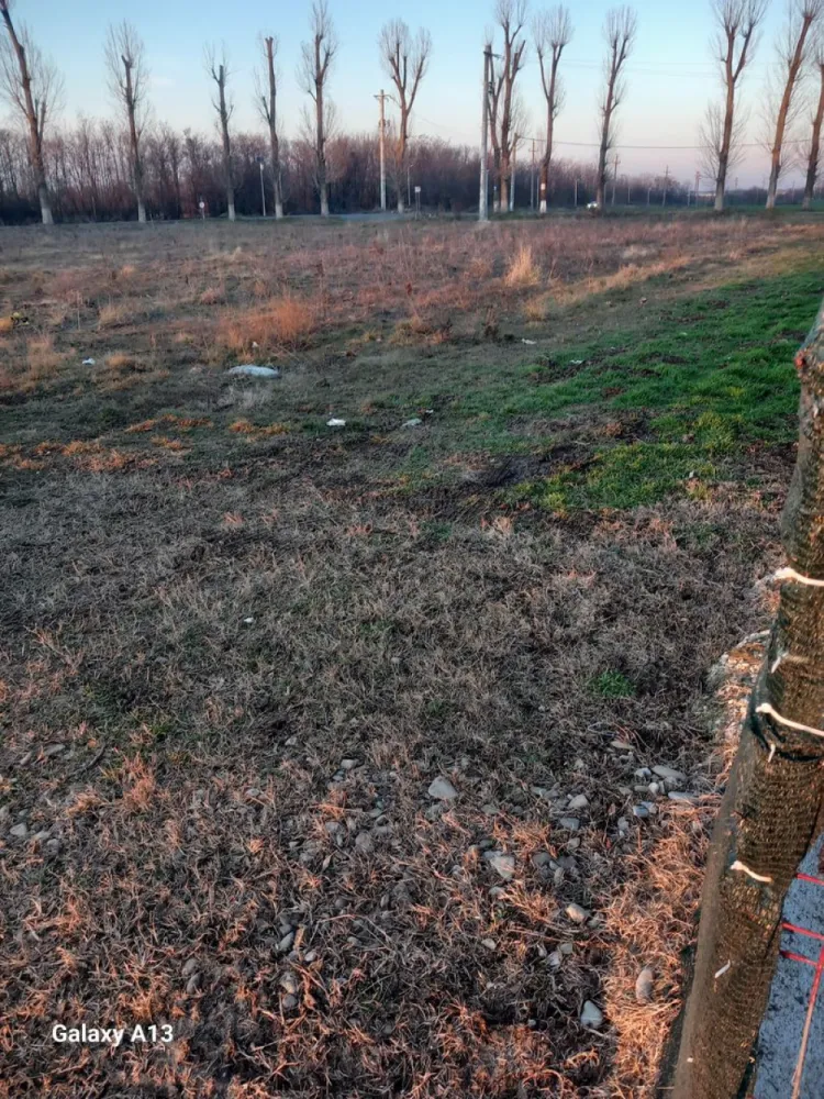 Ag BRASADAS vinde 500mp teren intravilan la SOSEA in Ganeasa - Agenția BRASADAS vinde teren INTRAVILAN doua PARCELE la SOSEA de 500mp în Moara Domneasca Comuna GANEASA cu TOATE UTILITATILE fără canalizare.