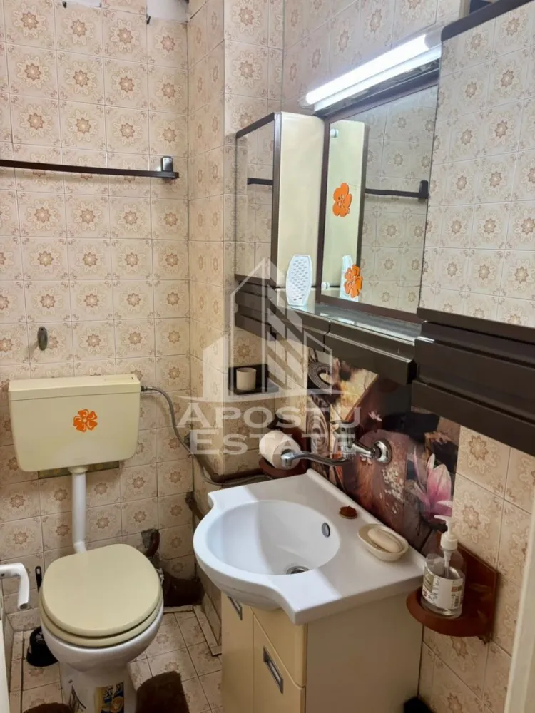 Apartament cu 3 camere , de inchiriat , zona Aradului , Timisoara