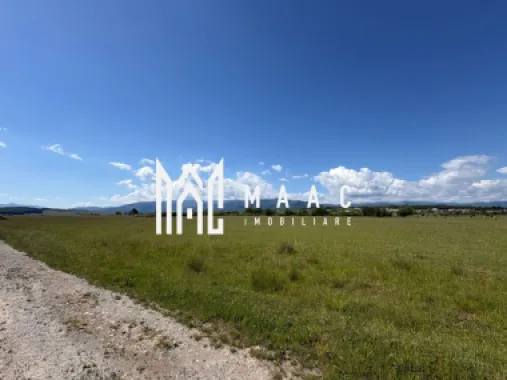 Logo MAAC IMOBILIARE logo