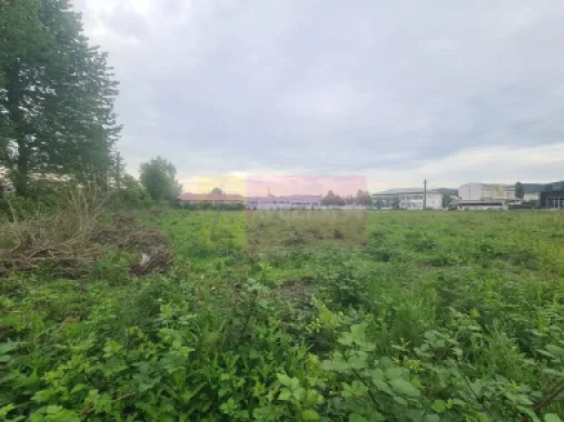 Teren intravilan de vanzare in Campina
