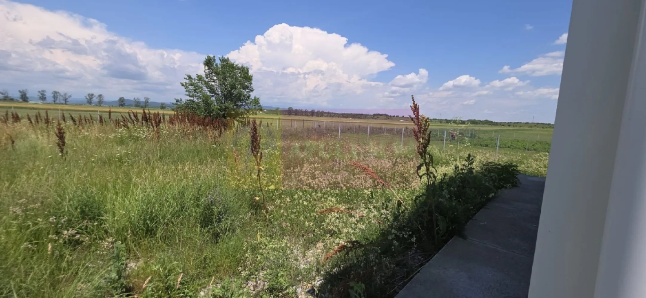 Hala de vanzare in Floresti