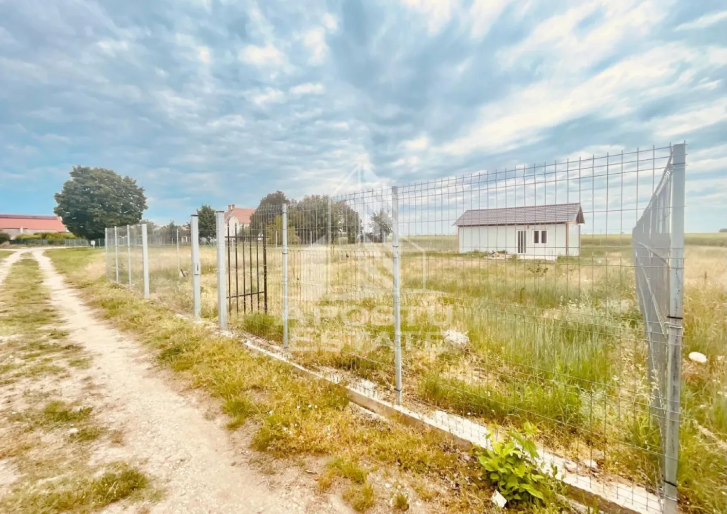 Teren Intravilan cu Constructie Zimandu Nou