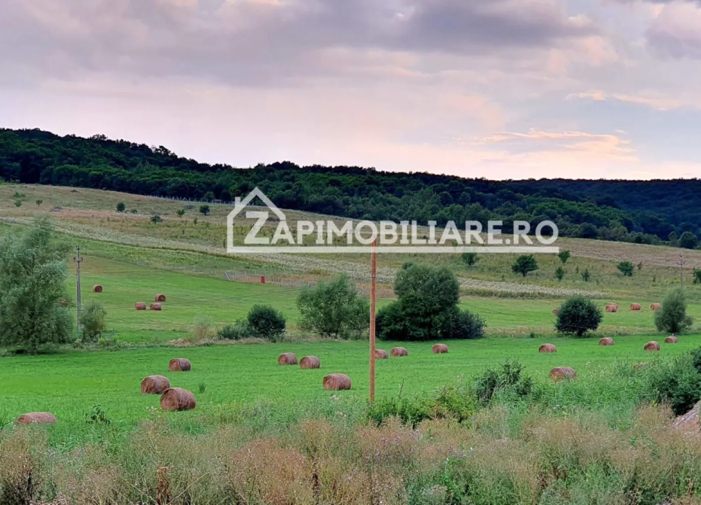 Teren intravilan 50 ari,Livezeni,iesire catre Ivanesti,28 eu/mp - De vânzare 50 ari teren intravilan în Livezeni,pe partea dreapta la iesire catre Ivanesti.. Preț. 30 euro /mp,usor negociabil.Utilitati in apropiere.
Contact 077 4048706 Bogdan 
Dacă vă place această ofertă - sau pentru alte informații sunați la numărul de contact din anunț! 
Compania Zap Imobiliare vă pune la dispoziție toate informațiile, actele și documentele necesare alături de asistență și consiliere permanentă până la finalizarea achiziției imobiliare. Ne dorim să îți oferim cea mai pl ăcută experiență.
