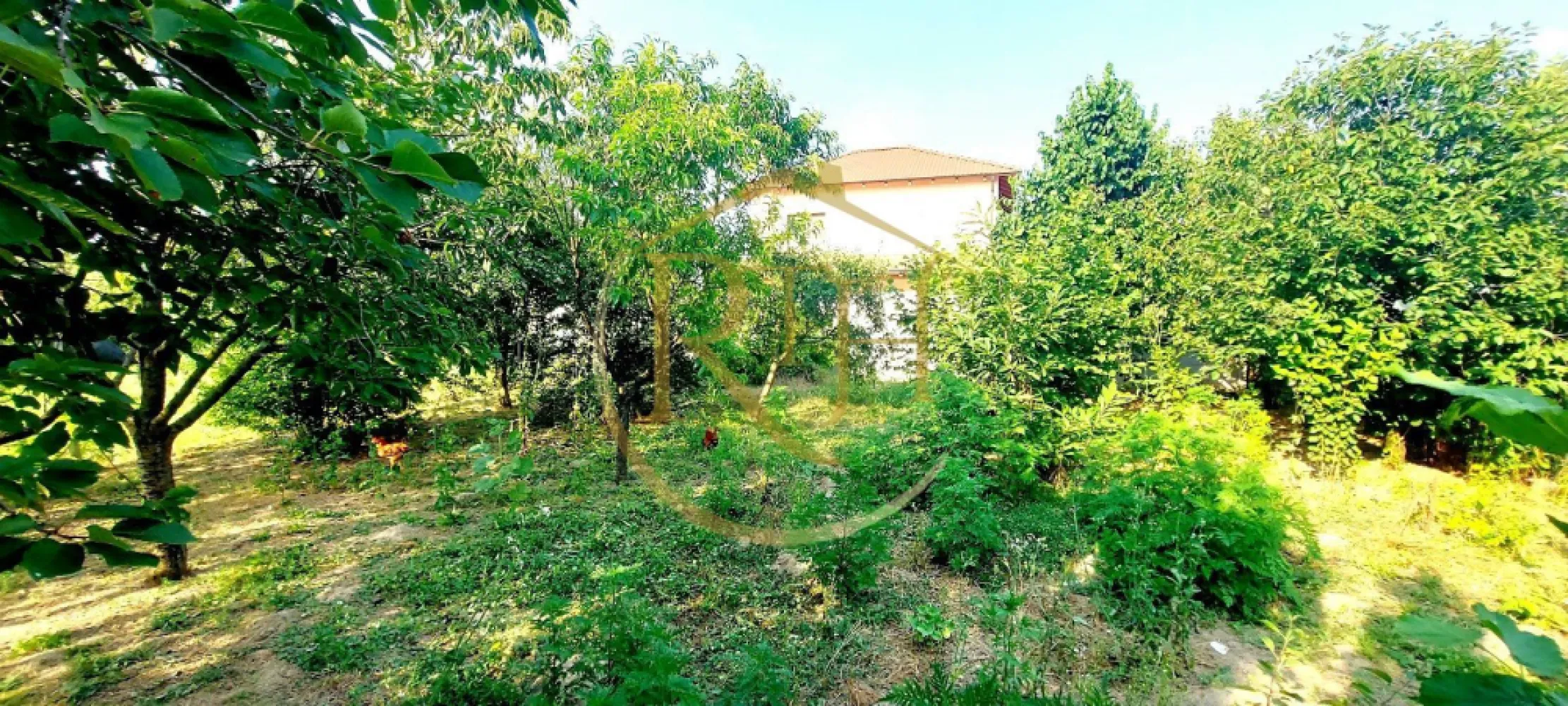 Oferim spre vanzare casa, 6 camere, 162mp utili, 809mp teren, in Giroc