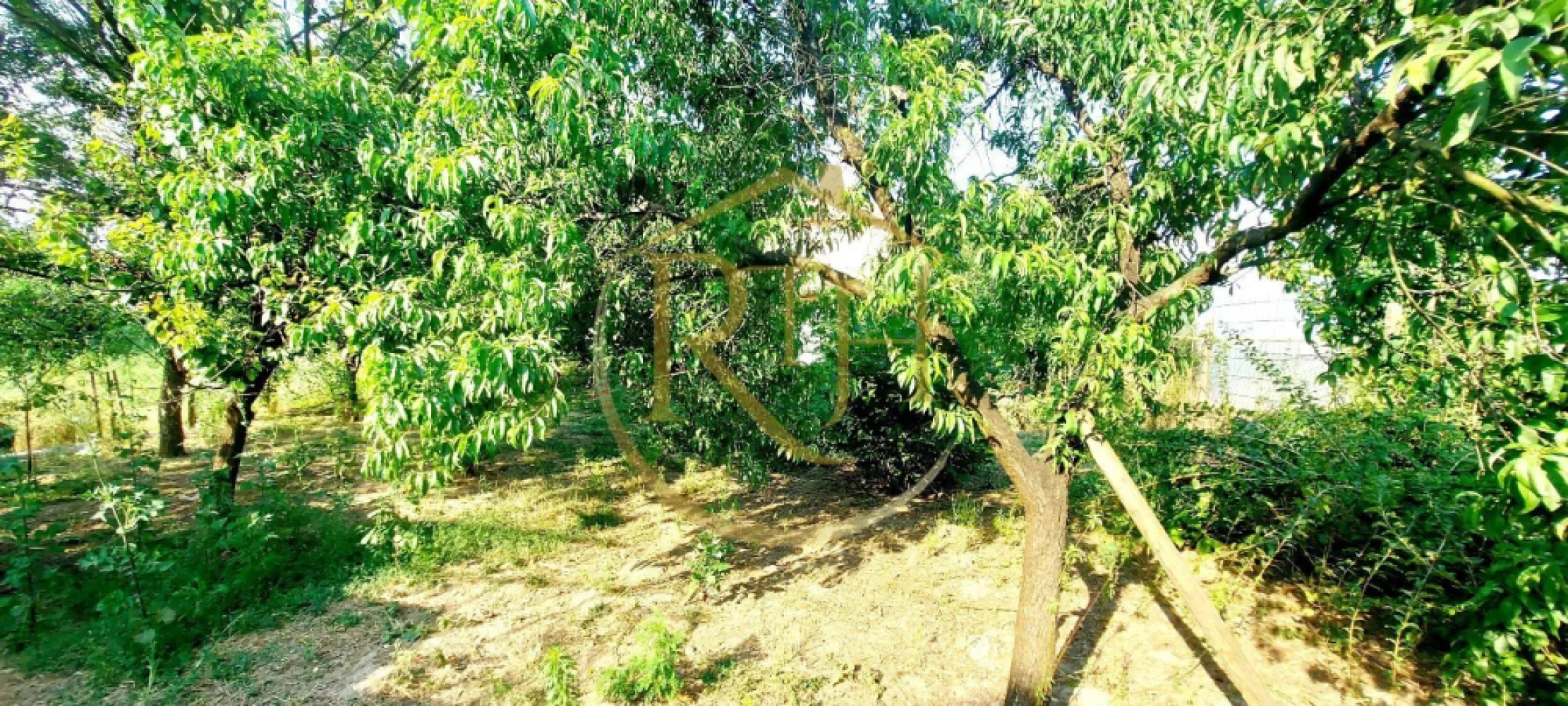 Oferim spre vanzare casa, 6 camere, 162mp utili, 809mp teren, in Giroc