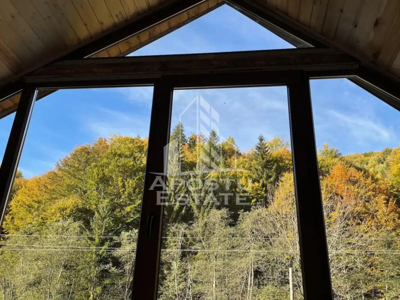 Cabana de inchiriat in Apuseni, Ciubar, Fara vecini, Foisor, Atv - Comision 0.

Situată într-un peisaj de vis, în munții Apuseni, județul Alba, comuna Avram Iancu, “ Casa Doce far Niente" vă așteaptă să-i treceți pragul și vă pune la dispoziție o gamă largă de facilități menite să vă asigure un sejur de neuitat.

Facilități:

• Capacitate: Cabana poate găzdui un numar maxim de 15 persoane, fiind ideală pentru grupuri de prieteni sau familii.

• Dormitoare + living: Dispune de 4 dormitoare confortabile, perfect echipate pentru a vă oferi un somn odihnitor. Două dintre ele matrimoniale full view, un dormitor family (5 persoane), un dormitor matrimonial, două livinguri cu canapele extensibile ideale pentru socializare și relaxare.

• Bucătărie complet utilată: O bucătărie modernă, dotată cu toate cele necesare pentru a pregăti mese delicioase.

• Televiziune și Internet: Rămâneți conectați cu lumea prin televiziune și internet prin fibra optica - providerul DIGI.

• Boxe wireless cu Bluetooth si microfon : Pentru a vă bucura de muzica preferată, oriunde în cabană si pentru pasionatii de karaoke.

• Coffee corner: Un colț special amenajat pentru iubitorii de cafea.

• Încălzire centrală pe lemne: Cu un Puffer de 1000l ca pe timpul noptii sa va bucurati de o temperatura constanta in cabana.

• Foișor

• Grătar "Live Cooking" cu ceaun, wok, disc: Bucurați-vă de gătit în aer liber cu un grătar complet echipat.

• Răsfățați-vă în ciubărul încălzit la 35-40 grade. O super experienta indiferent de anotimp, mai ales iarna. 

• Liniste: Aproximativ un kilometru perimetru fără vecini, pentru intimitate maximă.

• Înconjurați de pădure cu râu în fața cabanei.

• Jocuri de societate: Activități recreative pentru toate vârstele.

• Spațiu de parcare pentru toți oaspeții.

Atracții turistice din apropiere:

• Cascada Pișoaia: La doar 15 minute de cabană, o destinație spectaculoasă pentru iubitorii de natură.

• Numeroase trasee montane pentru drumeții și explorare.

• Muntele Găina: La 30 de minute (10 km) distanță, un loc plin de istorie și frumusețe naturală.

• Peștera Ghețarul de la Scărișoara: La 45 de minute de mers, una dintre cele mai renumite peșteri din România.

• Partia de schi Arieșeni: La o oră de cabană, pentru pasionații de sporturi de iarnă.

•Inchiriere Atv-uri

Cabana se închiriază doar unui singur grup de persoane și se închiriază pe minim două nopți, asigurând astfel intimitate și confort pentru toți oaspeții. 

In timpul saptamanii beneficiati de discount - Luni-Joi- 500 lei/noapte

In weekend 800 lei/noapte cabana pentru maxim 11 persoane + 300 lei pentru capacitatea maxima de 15 persoane incluzand apartamentul lipit de cabana cu intrare separata.

Nu ratați ocazia de a vă bucura de o escapadă de vis în mijlocul naturii!