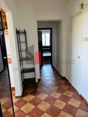 3 camere vizavi de parcul Plumbuita