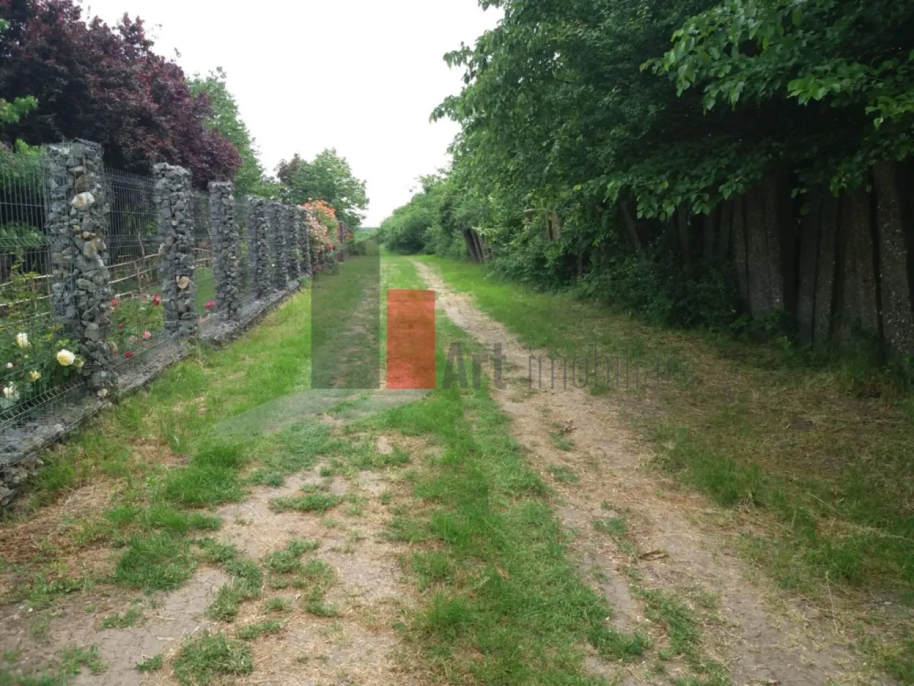 Teren Buftea cu iesire la lac - Art Imobiliare va ofera spre vanzare un teren intravilan constructii cu deschidere la lacul Colentina de 60 ml, unde cu usurinta se poate amenaja un ponton pentru cei pasionati de sporturi nautice, sau de ce nu locuri de pescuit. Avand in vedere suprafata generoasa de 3000mp, este pretabil atat pentru un complex rezidential cat si pentru cineva care isi doreste o locuinta mai retrasa 
 Pentru orice informatie nu ezitati sa ne contactati.