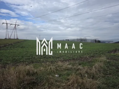 Teren intravilan | 29.300MP | Miercurea Sibiului