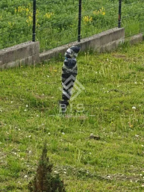 Teren în Crainimăt cu Proiect de Casă Inclus – Gata de Construcție!