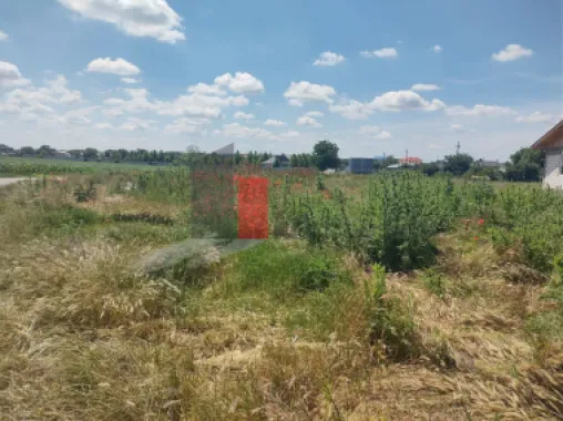 Vânzare 2 loturi de casă Dobreni Giurgiu