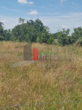 Vânzare 2 loturi de casă Dobreni Giurgiu