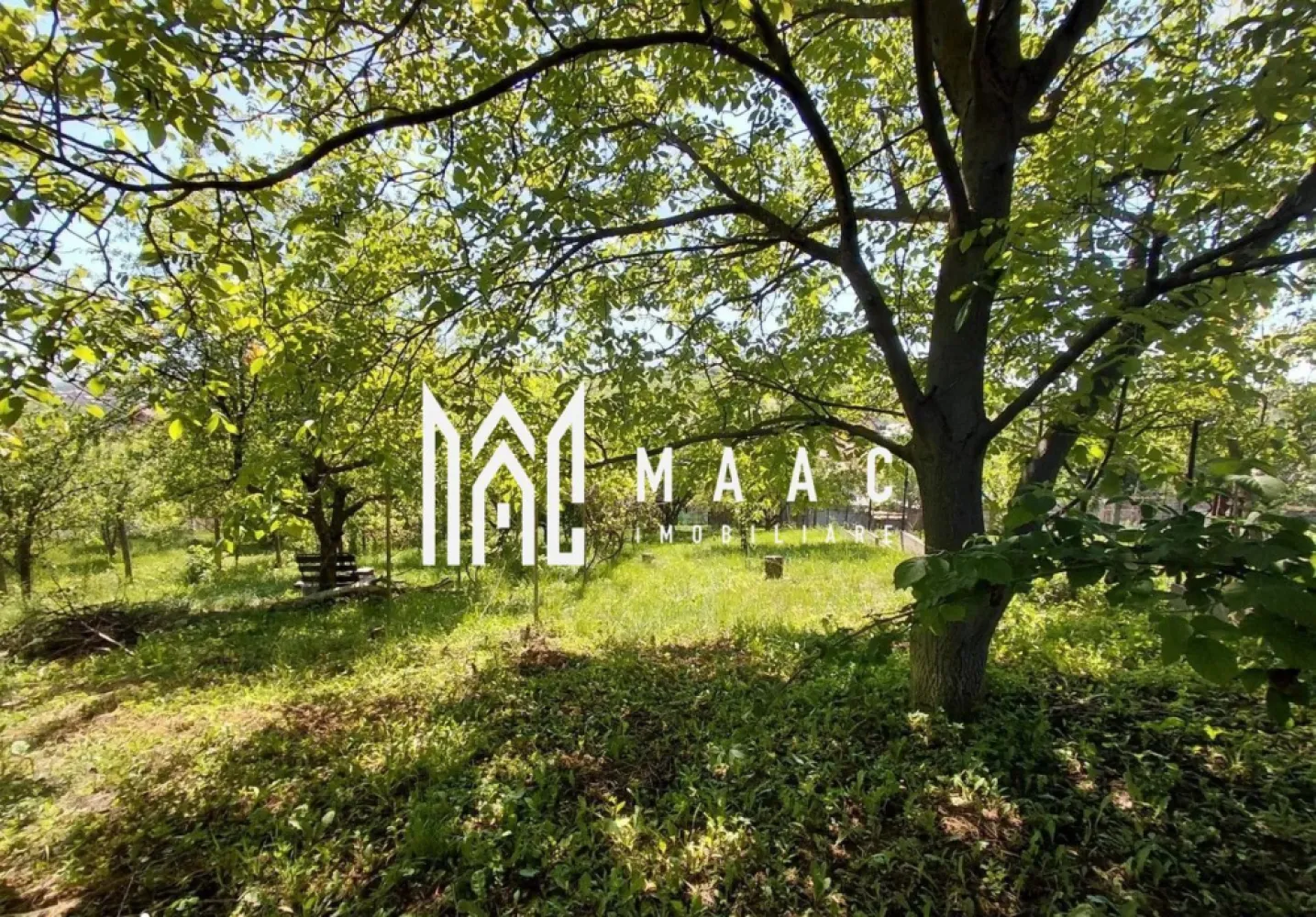 Casă individuală 4 camere | Strada Socului, Șura Mare | 120 mp, teren 1.100 mp - Casă individuală de vânzare în Șura Mare, pe Strada Socului, cu 4 camere, 120 mp utili și teren de 1.100 mp. O proprietate potrivită pentru o familie care își dorește spațiu, curte generoasă și intimitate aproape de Sibiu.

Detalii proprietate:
• Suprafață utilă: aproximativ 120 mp
• Suprafață construită: 160 mp
• Compartimentare: living cu bucătărie open-space, 3 dormitoare, baie
• Pivniță de aproximativ 30 mp
• Teren total: 1.100 mp
• Curte pavată și generoasă
• Terasă acoperită
• Bucătărie de vară
• Anexe și spații de depozitare
• Livadă și teren liber de aproximativ 600 mp

Context și amplasare:
Proprietatea este situată într-o zonă liniștită din Șura Mare, cu deschidere la o stradă secundară separată de accesul principal. Acest avantaj oferă flexibilitate pentru acces și pentru viitoare proiecte, într-o zonă aflată aproape de Sibiu.

Pentru detalii suplimentare și programarea unei vizionări, contactați-ne cu încredere. Cod anunț CP3161410.