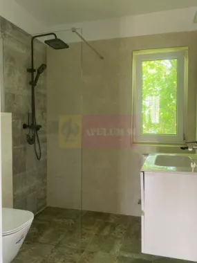 Duplex în vilă, 4 camere, renovat 2025, curte 250 mp, Mogoșoaia