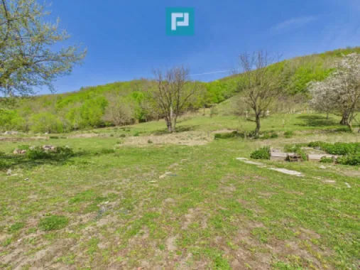 Teren pentru investiții în Luncoiu de Jos