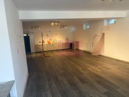 Vila D+P+1+M cu teren 446 mp Drumul Sarii.