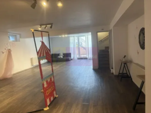 Vila D+P+1+M cu teren 446 mp Drumul Sarii.