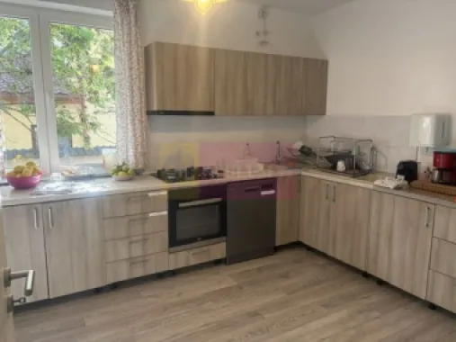 Vila D+P+1+M cu teren 446 mp Drumul Sarii.
